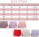Plus Size Lace Leakproof Cotton Panties Set