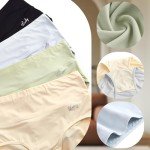 High Waisted Tummy Control Underwear for Women