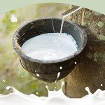 Seamless Butt Lifter Panties with Tummy Control