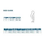 High Waist Sheer Pantyhose Pack for Women