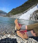 Dickies Women's Moisture-Wicking Mid-Crew Socks - Blush