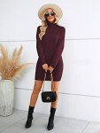 Soft Turtleneck Knit Dress for Women - Burgundy