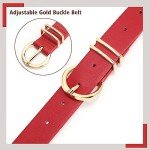 Stylish Women's Leather Belt with Gold Buckle