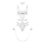 Exotic Women's Lingerie Set: Teddies & Thongs