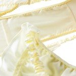 Silk Bikini Bottom Underwear for Women