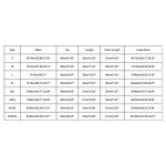 Lace Bodysuit with Detachable Mini Skirt Set