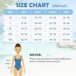 Century Star Women's Tummy Control Tankini - Gray 2XL