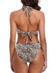Leopard Print Two Piece Push Up Bikini Set
