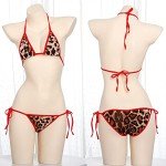 Leopard Print Halter Triangle Bikini Set