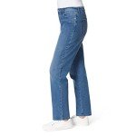 Gloria Vanderbilt Women's Classic Amanda High Rise Tapered Jean, Frisco, 10 Petite
