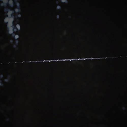 550 Paracord with Carabiner for Camping, Camo 30 ft