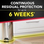 Raid Ant & Roach Killer Spray - 2 Pack