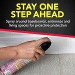 Raid Ant & Roach Killer Spray - 2 Pack