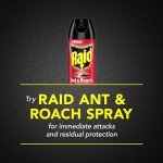 Raid Ant & Roach Killer Spray - 2 Pack