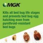 MGK 1852 Crossfire Concentrate Insecticide for Bed Bugs