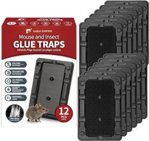 Sticky Mouse & Insect Traps - 12 Pack