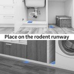 Sticky Mouse & Insect Traps - 12 Pack