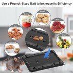 Sticky Mouse & Insect Traps - 12 Pack