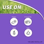 Moletox Poison Bait for Moles & Gophers, 1 lb