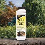 Moletox Poison Bait for Moles & Gophers, 1 lb