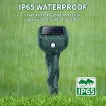 Solar-Powered Ultrasonic Mole Repellent Stakes - 4 Pack