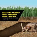 Tomcat Mole Killer: 10 Worms, Single Feeding, Natural