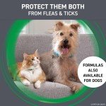 Frontline Plus Flea & Tick Treatment for Cats
