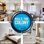 Combat Max Ant Bait Stations - 6 Count