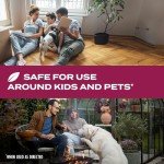 Plant-Based Insecticide Spray for Ants and Roaches