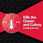 Raid Max Ant Bait Stations - Indoor & Outdoor