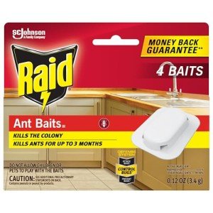 Raid Ant Baits - Kills Ants for 3 Months