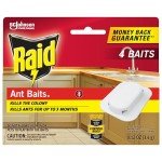Raid Ant Baits - Kills Ants for 3 Months