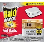 Raid Max Dual Ant Baits - 8 Count
