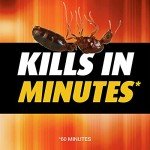 Ortho Orthene Fire Ant Killer - Fast Acting Solution