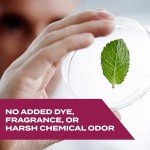 Plant-Based Insecticide Spray for Ants and Roaches