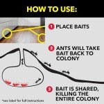 Raid Ant Baits - Kills Ants for 3 Months