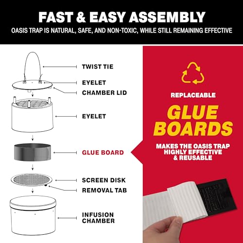 Oasis Ovi-Mini Mosquito Trap 4 Pack - Pet Safe