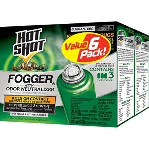 Hot Shot Fogger: Kills Roaches, Ants, Fleas