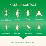 Hot Shot Fogger: Kills Roaches, Ants, Fleas