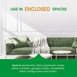 Hot Shot Fogger: Kills Roaches, Ants, Fleas