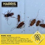 HARRIS Boric Acid Insect Killer Powder – 16oz