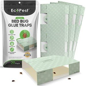 20 Pack Bed Bug Glue Traps - Sticky Insect Interceptors
