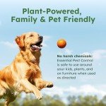 BugMD Natural Ant and Bug Killer Spray