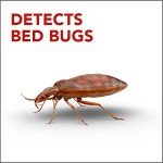 Raid Bed Bug Detector and Trap - 4 Pack