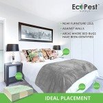 20 Pack Bed Bug Glue Traps - Sticky Insect Interceptors