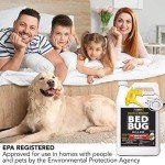 Harris Bed Bug Killer Spray - Odorless Formula