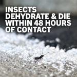 Organic Diatomaceous Earth - Insect Killer, 4 lb