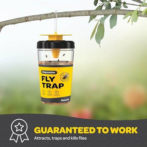 Set of 3 Outdoor Fly Traps - Non-Toxic Bait