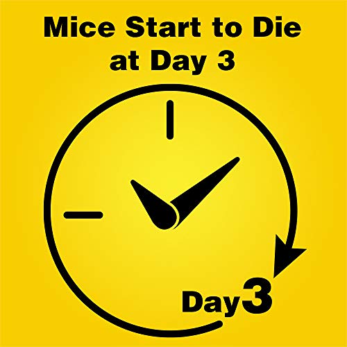 3-Pack d-Con Disposable Mouse Bait Stations, 0.5 Oz