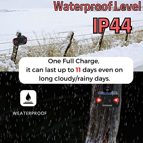 2 Pack of Solar Predator Control Lights